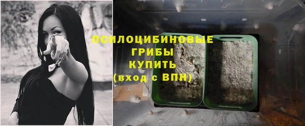 бошки Богородицк