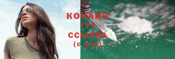 бошки Богородицк