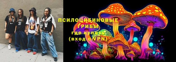 бошки Богородицк