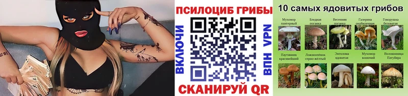 Галлюциногенные грибы Psilocybine cubensis  Игра 